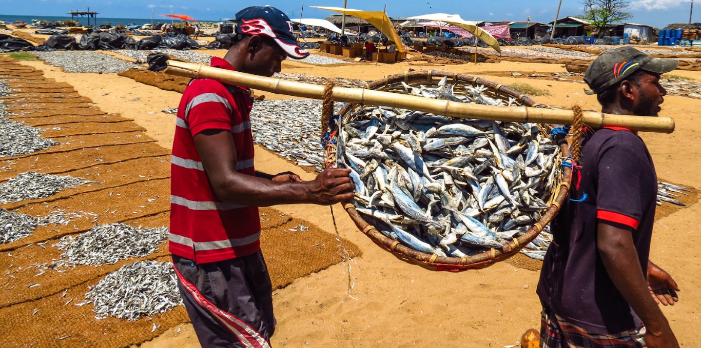 Seafood in Negombo